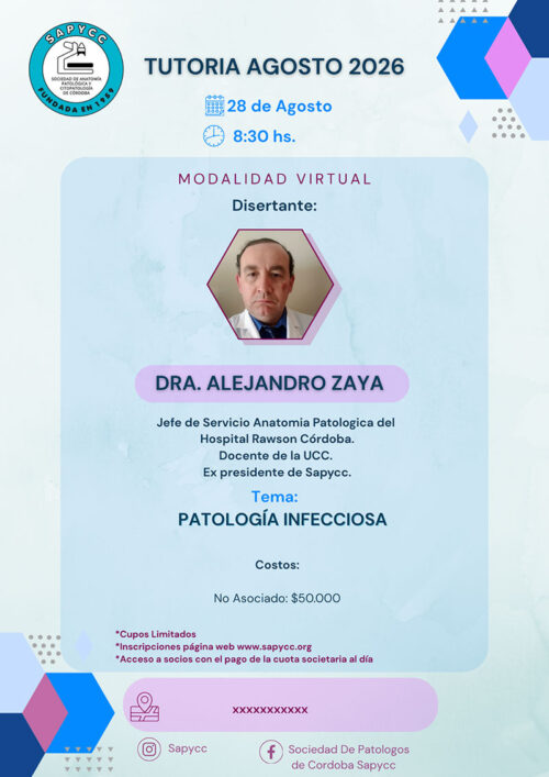 tutoria-agosto-zaya