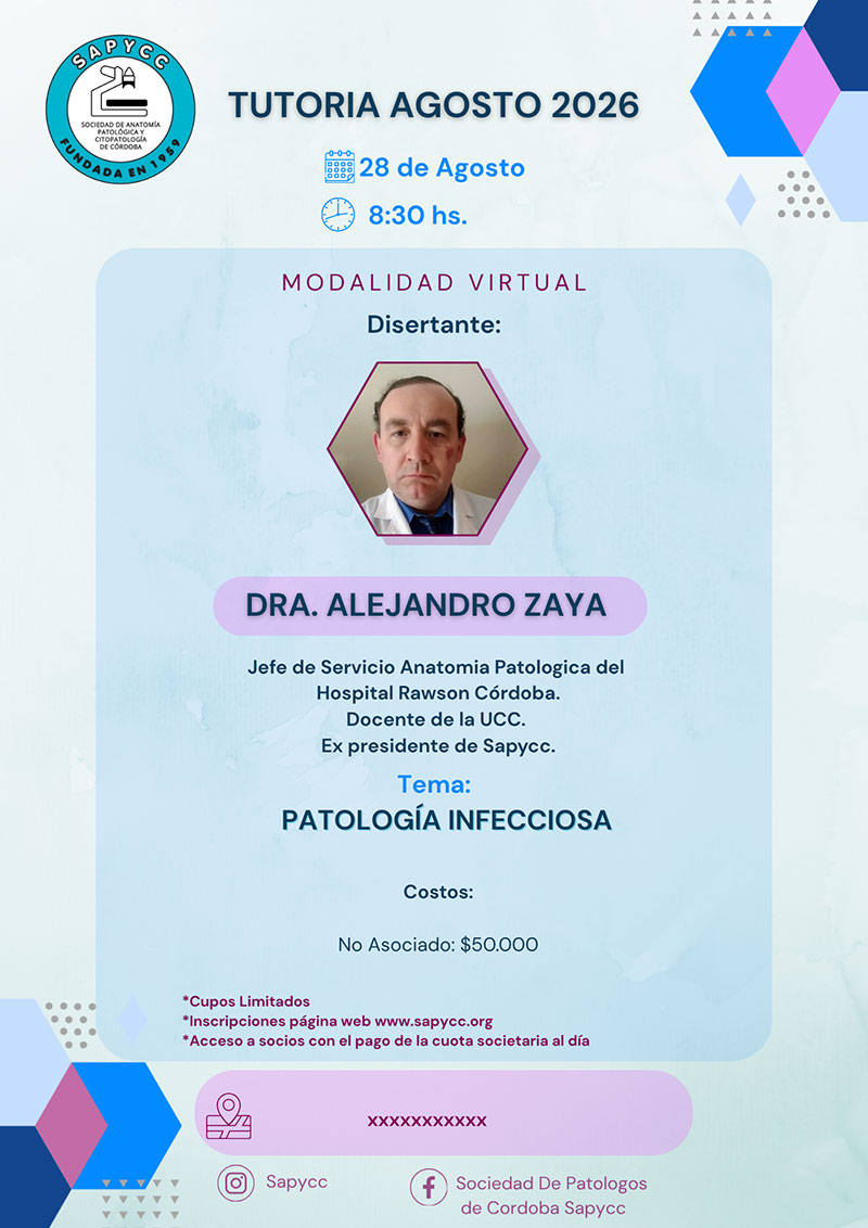 tutoria-agosto-zaya